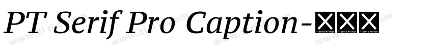 PT Serif Pro Caption字体转换